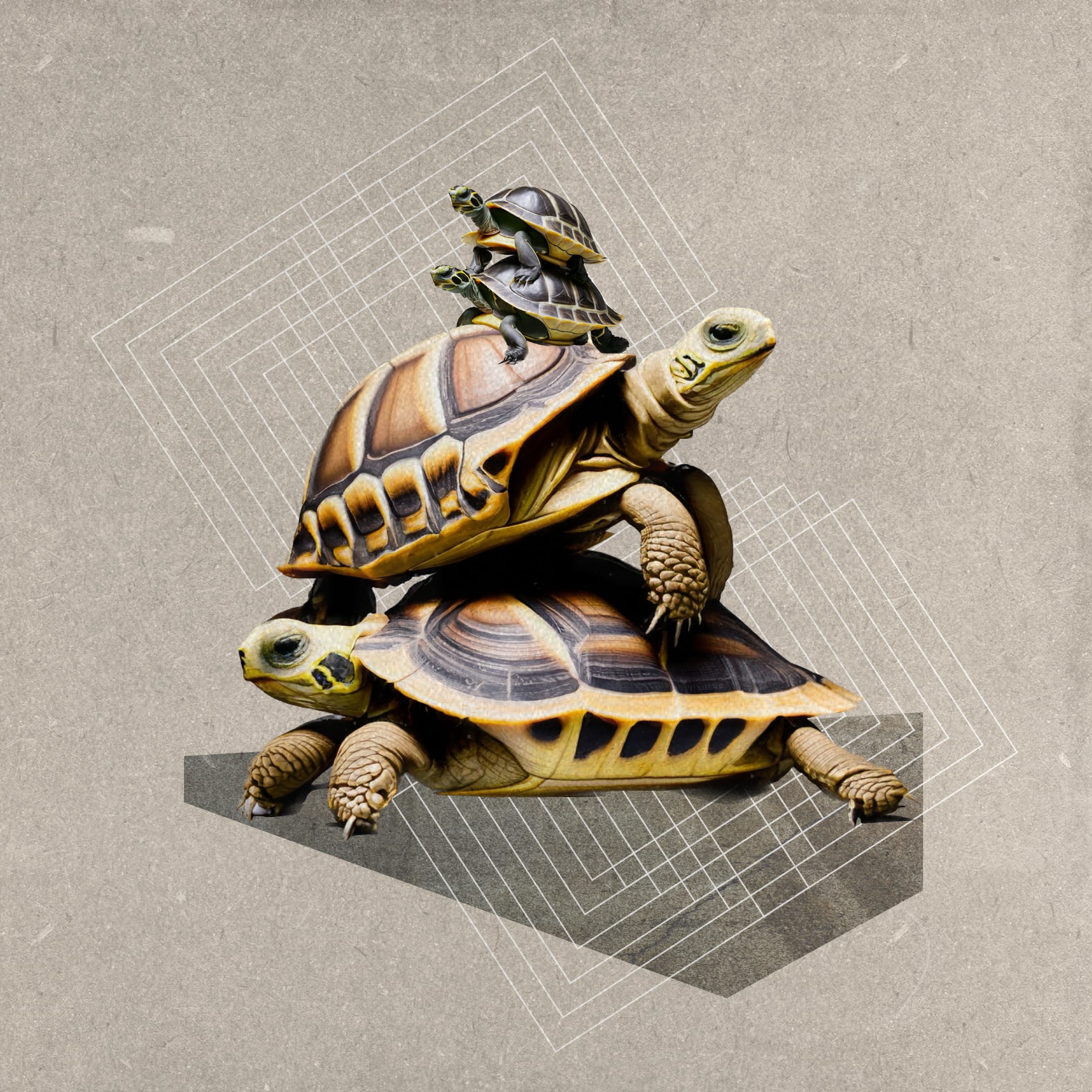 On a paper-textured tan background, a stack of turtles is accompanied by geometrical elements.